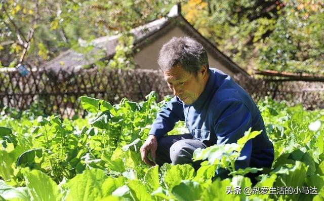 花400贝搏体育入口0元请的保姆却要满足她一堆要求大爷哭诉：谁才是雇主？(图2)