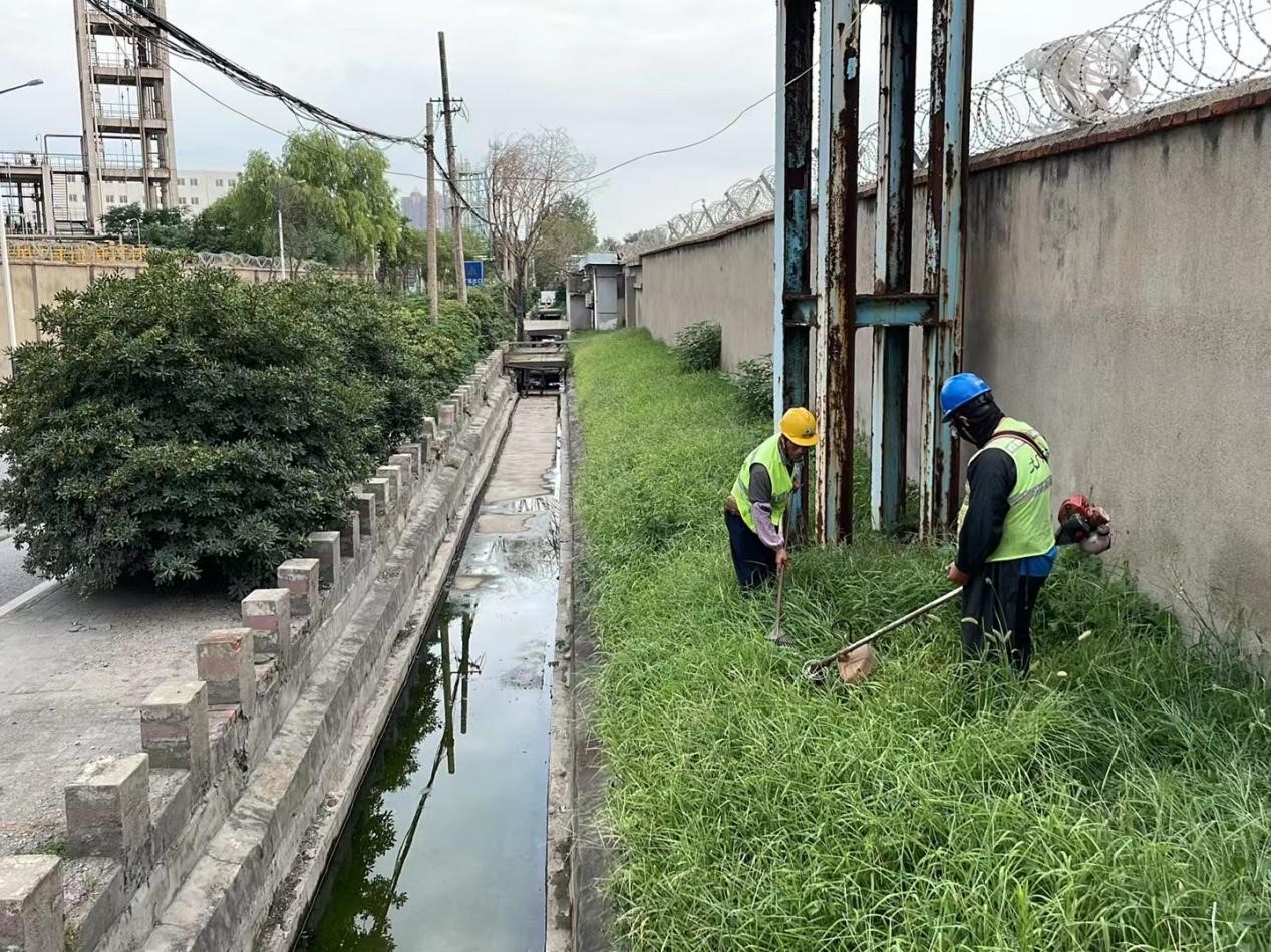 清理河道杂草推进保洁养护工作